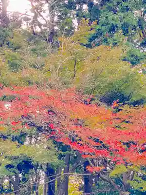 隨心院（随心院）の自然