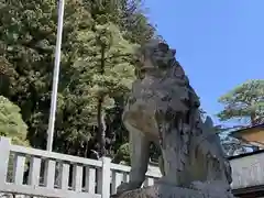 櫻山八幡宮の狛犬