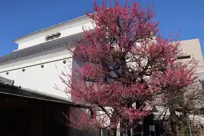 光源寺のその他建物