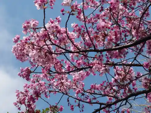 子聖神社(神奈川県)