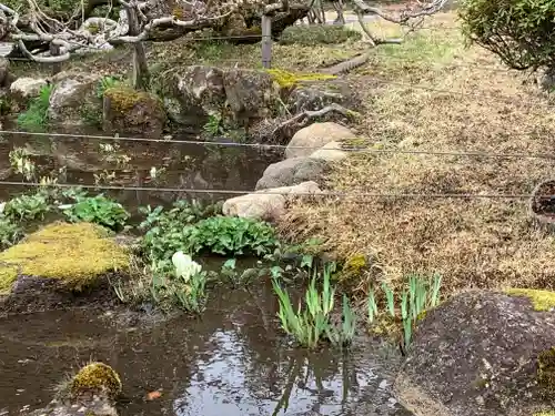 常楽院の庭園