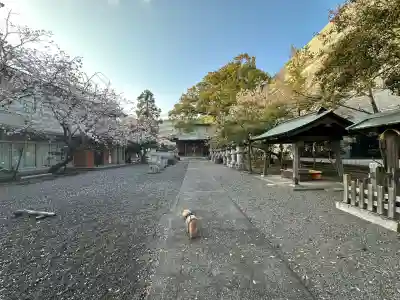 貴布禰神社(静岡県)