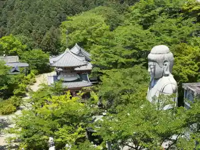 南法華寺（壷阪寺）の{uncategorized: "未分類", other: "その他", undefined: "問題あり", building: "その他建物", grave: "お墓", sacred_gate: "鳥居", guardian: "狛犬", statue: "像", buddha: "仏像", history: "歴史", nature: "自然", garden: "庭園", animal: "動物", pagoda: "塔", temizu: "手水舎", mountain_gate: "山門・神門", sanctuary: "本殿・本堂", subordinate: "末社・摂社", art: "芸術", scenery: "景色", jizo: "地蔵", ema: "絵馬", goshuin: "御朱印", omikuji: "おみくじ", items: "授与品その他", amulet: "お守り", goshuincho: "御朱印帳", eats: "食事", festival: "お祭り", votive_dance: "神楽", shichigosan: "七五三参", wedding: "結婚式", experience: "体験その他", initially: "初詣", around: "周辺", anti_infection: "感染症対策"}