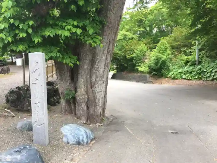 千歳神社のその他建物