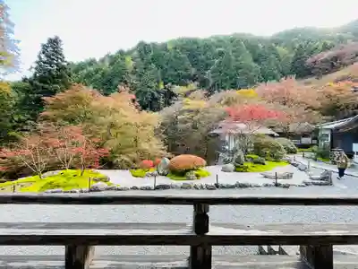 古知谷阿弥陀寺(京都府)