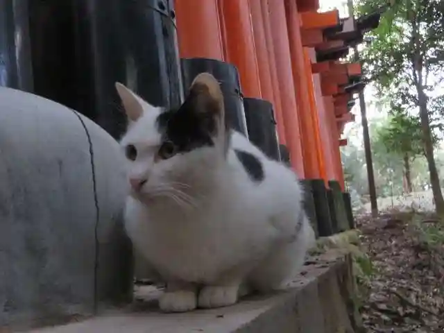 伏見稲荷大社(京都府)