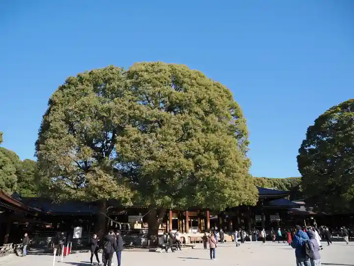 明治神宮(東京都)