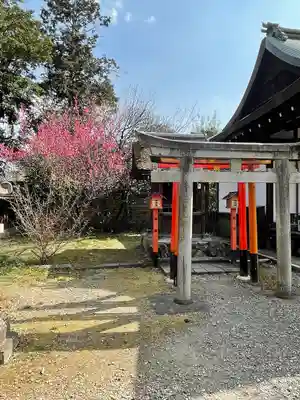 梅宮大社(京都府)