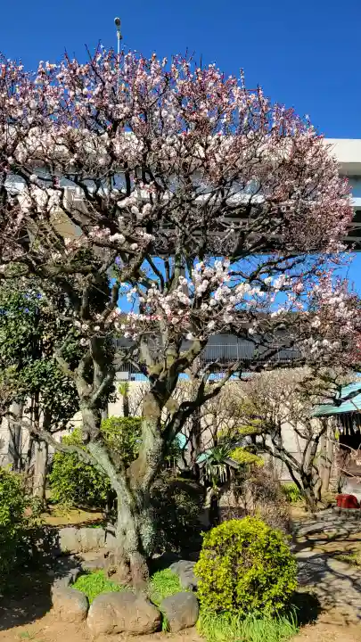 隅田川神社の{uncategorized: "未分類", other: "その他", undefined: "問題あり", building: "その他建物", grave: "お墓", sacred_gate: "鳥居", guardian: "狛犬", statue: "像", buddha: "仏像", history: "歴史", nature: "自然", garden: "庭園", animal: "動物", pagoda: "塔", temizu: "手水舎", mountain_gate: "山門・神門", sanctuary: "本殿・本堂", subordinate: "末社・摂社", art: "芸術", scenery: "景色", jizo: "地蔵", ema: "絵馬", goshuin: "御朱印", omikuji: "おみくじ", items: "授与品その他", amulet: "お守り", goshuincho: "御朱印帳", eats: "食事", festival: "お祭り", votive_dance: "神楽", shichigosan: "七五三参", wedding: "結婚式", experience: "体験その他", initially: "初詣", around: "周辺", anti_infection: "感染症対策"}