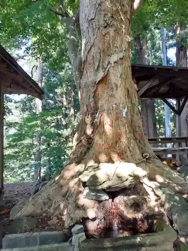 愛宕神社(秋田県)