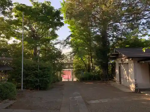 白幡神社の鳥居