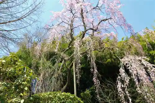 延命寺の庭園