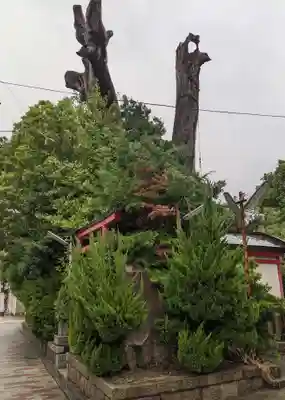 櫻宮御旅所(大阪府)