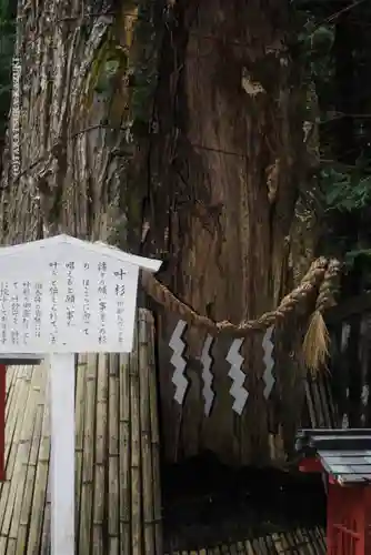 日光東照宮(栃木県)