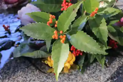 滑川神社 - 仕事と子どもの守り神の手水舎