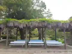 山神社の自然