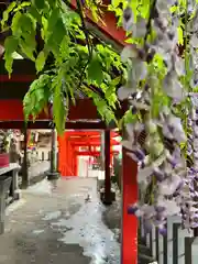 熊本城稲荷神社(熊本県)