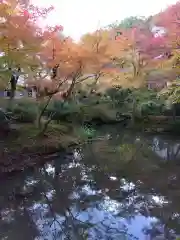 圓光寺の御朱印