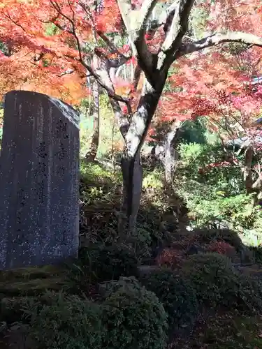 長谷寺の庭園