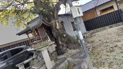 櫟谷七野神社(京都府)