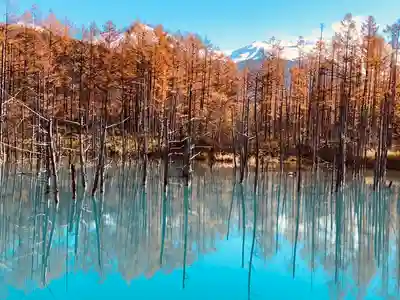 美瑛神社の周辺