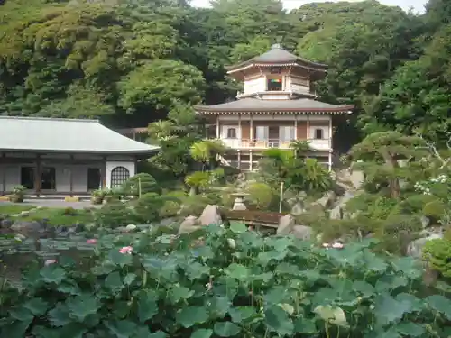 光明寺の庭園