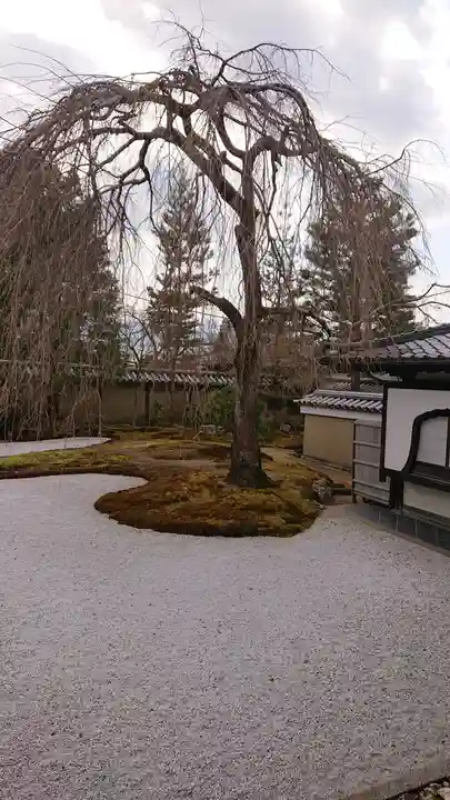 高台寺(高台寿聖禅寺・高臺寺)(京都府)