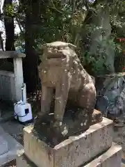 荒井神社の狛犬