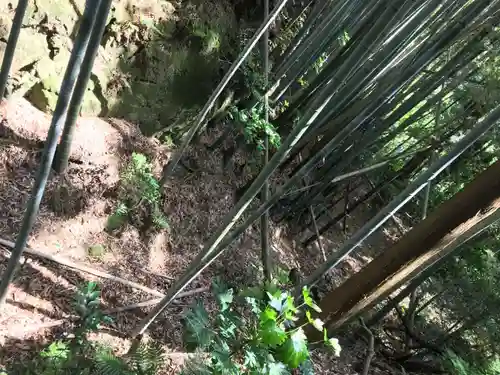 富士浅間神社の自然
