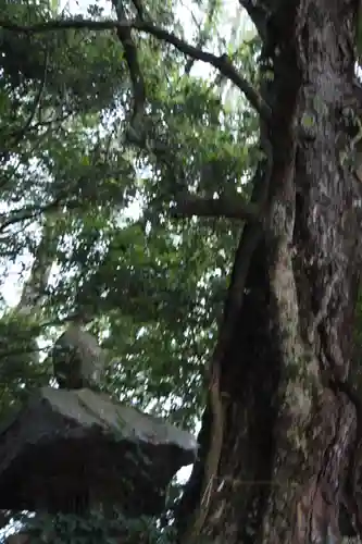 阿上三所神社(京都府)
