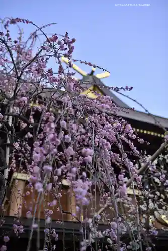 湯島天満宮(東京都)