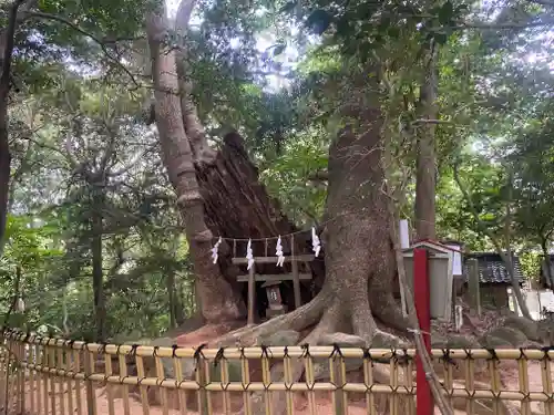 住吉神社(山口県)