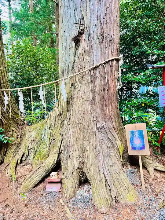 坪沼八幡神社(宮城県)