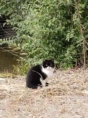 白金氷川神社(東京都)