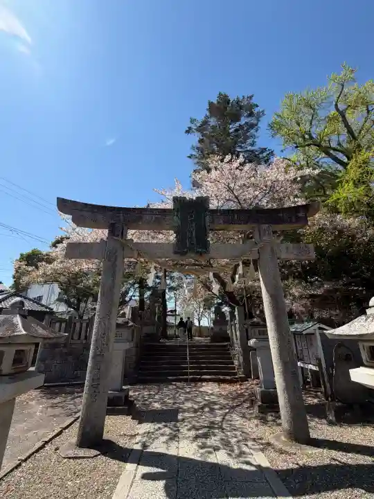 玉前神社の{uncategorized: "未分類", other: "その他", undefined: "問題あり", building: "その他建物", grave: "お墓", sacred_gate: "鳥居", guardian: "狛犬", statue: "像", buddha: "仏像", history: "歴史", nature: "自然", garden: "庭園", animal: "動物", pagoda: "塔", temizu: "手水舎", mountain_gate: "山門・神門", sanctuary: "本殿・本堂", subordinate: "末社・摂社", art: "芸術", scenery: "景色", jizo: "地蔵", ema: "絵馬", goshuin: "御朱印", omikuji: "おみくじ", items: "授与品その他", amulet: "お守り", goshuincho: "御朱印帳", eats: "食事", festival: "お祭り", votive_dance: "神楽", shichigosan: "七五三参", wedding: "結婚式", experience: "体験その他", initially: "初詣", around: "周辺", anti_infection: "感染症対策"}