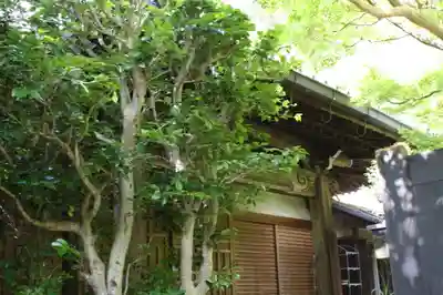 安養寺(京都府)