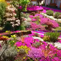 寿量山 速成寺の自然