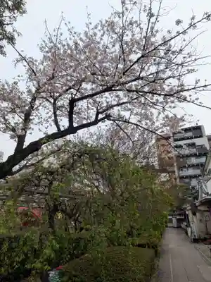 亀戸天神社(東京都)