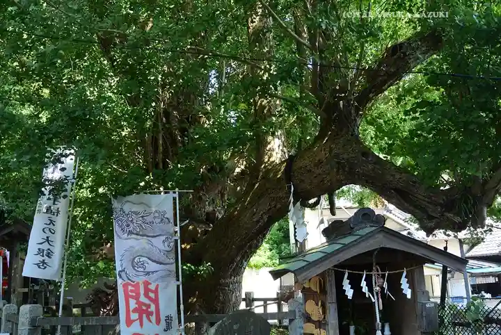海南神社(神奈川県)