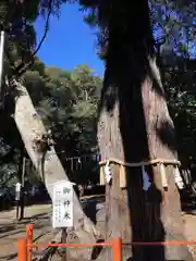 息栖神社の自然