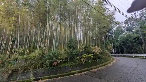 若山神社(大阪府)