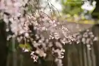 伊勢山皇大神宮(神奈川県)