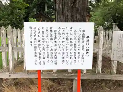 清水寺(岩手県)