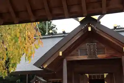 開成山大神宮の本殿・本堂