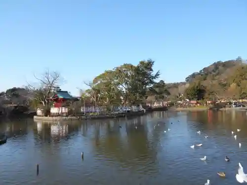 鶴岡八幡宮の庭園