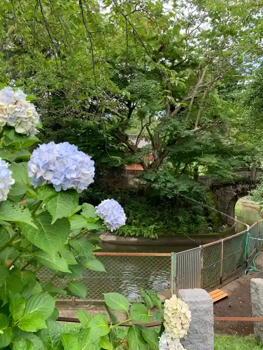 境香取神社の自然