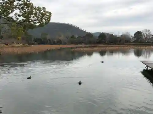 大覚寺の庭園