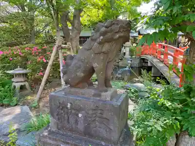 千葉神社の狛犬