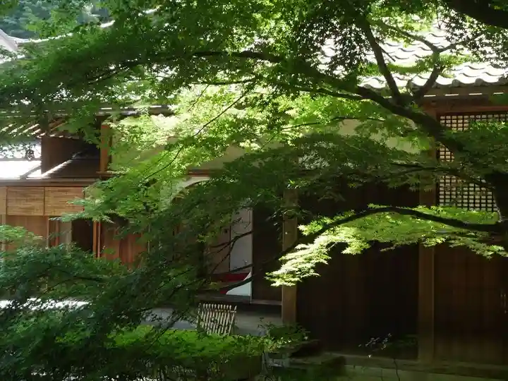 明月院の本殿・本堂