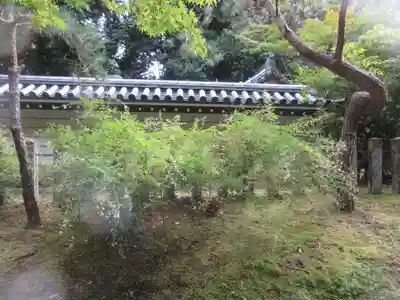 秋篠寺(奈良県)